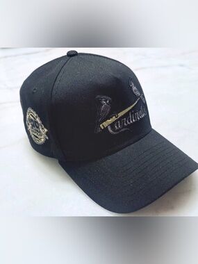 New Era 9forty A-Frame SnapBack STL Cardinals 125th Season Patch Exclusive, Rare